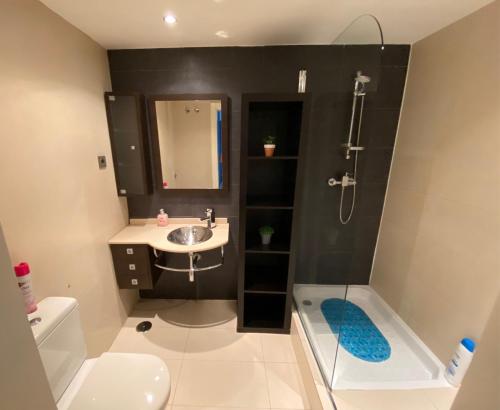 uma casa de banho com um chuveiro, um lavatório e um WC. em Apartamentos Marquesado em Madri