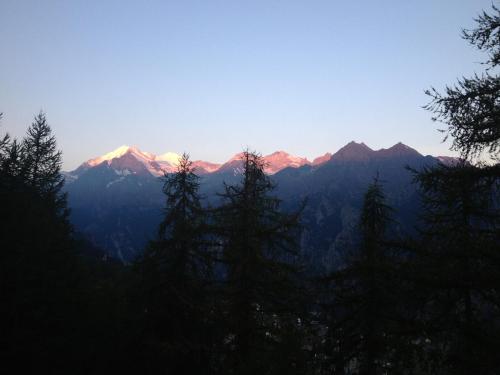 a view of a mountain range with trees in the foreground at Pension Aaron am See in Grächen