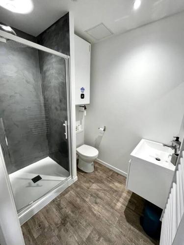 Koupelna v ubytování Nancy Brabois CHRU Studio 45 équipé refait à neuf