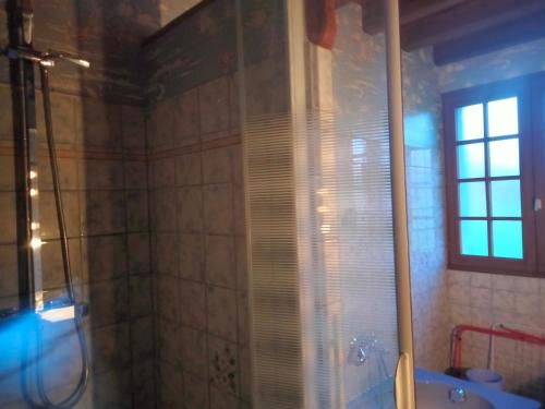 a bathroom with a shower and a sink at Corneguerre Grand Brassac in La Peyzie