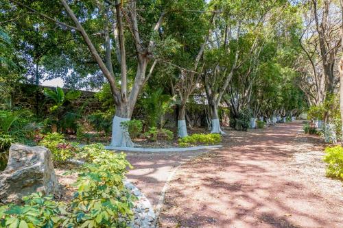 a dirt road with trees in a park at Bella Residencial Arco Antiguo Yautepec in Itzamatitlán