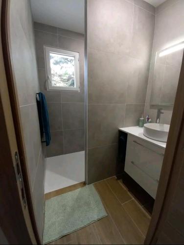 une petite salle de bain avec un lavabo et une douche dans l'établissement Maison au calme avec piscine, à Carcans