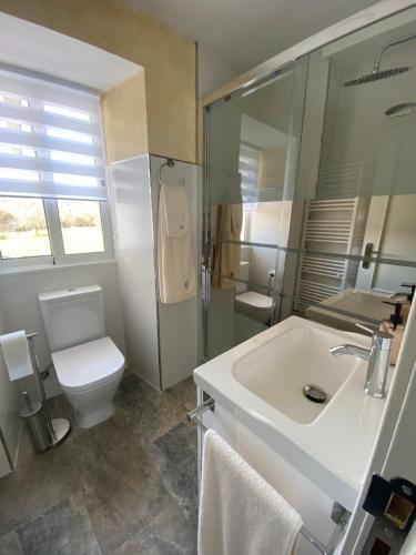 uma casa de banho com um lavatório, um WC e um espelho. em Casa Los Cuncos em Barrio de Lomba