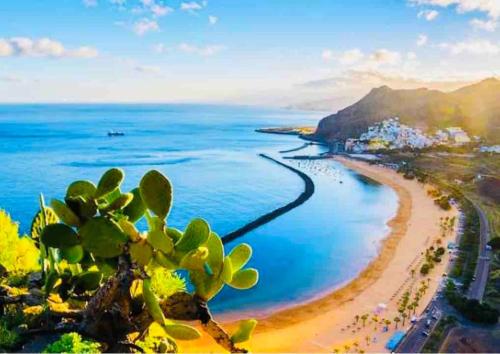 Gallery image of Brego, Velero para alojamiento in Santa Cruz de Tenerife