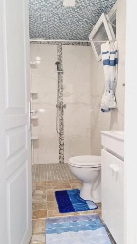 une salle de bain avec douche et toilettes dans l'établissement Appartement très lumineux et calme., à Sevran