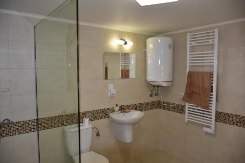 La salle de bains est pourvue de toilettes, d'un lavabo et d'une douche. dans l'établissement Apartament w Rynku, à Byczyna