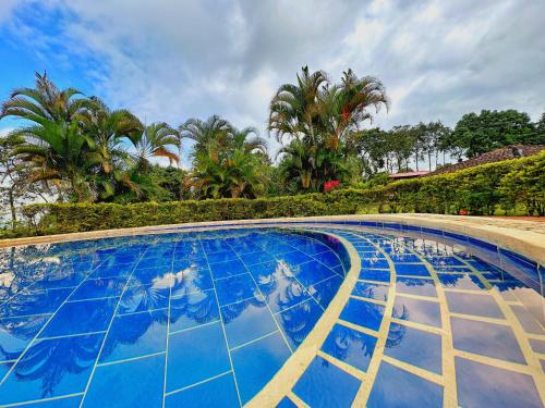 una gran piscina con agua azul y palmeras en Finca Hotel Cabaña Fercho, en Quimbaya