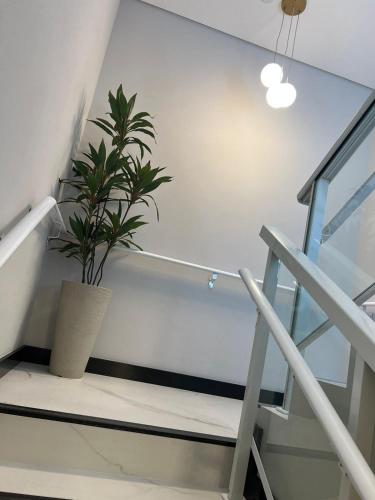 a plant in a pot sitting on a stair case at Costa Solar Lagoa in Florianópolis