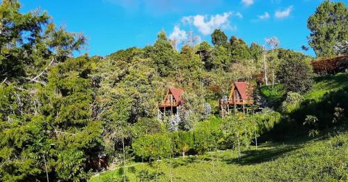 uma casa numa colina na floresta em Chalets en Santa Elena en medio del Bosque em Medellín