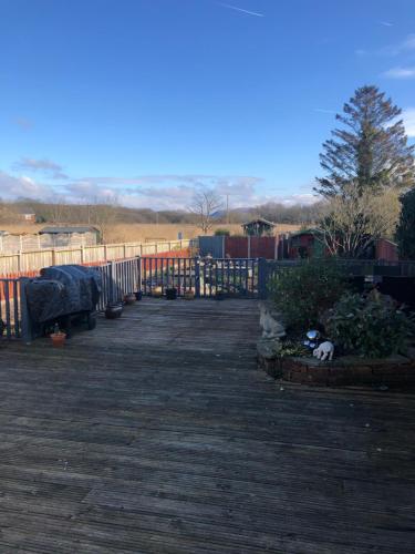 a cat sitting on a deck next to a fence at Loughor Annnex, Llangennech , Wales 
