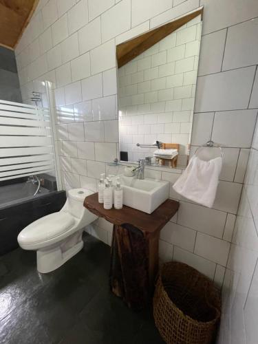 a bathroom with a sink and a toilet and a tub at Vertientes De Pumillahue, Chiloe in Pumillahue