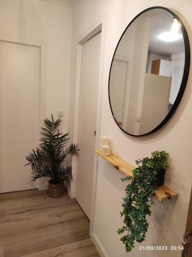 a mirror on the wall of a hallway with a plant at Casa Dina in Carballino