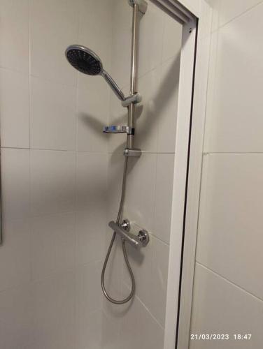 a shower with a shower head in a bathroom at Casa Dina in Carballino