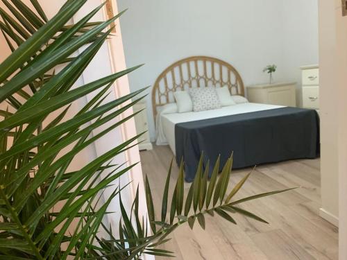 een slaapkamer met een bed en een potplant bij Casa Dina in Carballino
