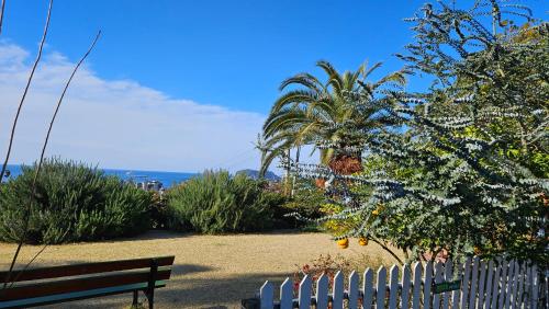 a park bench next to a fence and a palm tree at Beewool Chaewool Pension in Seogwipo