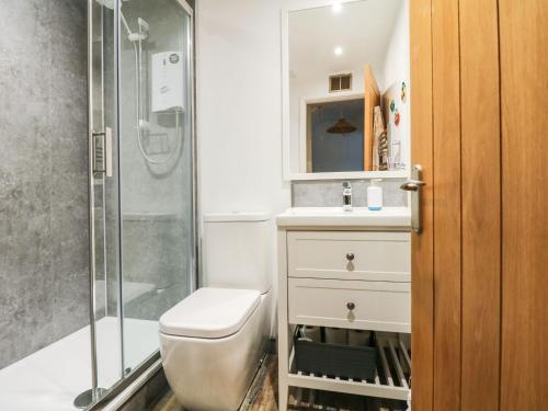 a bathroom with a shower and a toilet and a sink at Quarry Cottage in Flushing