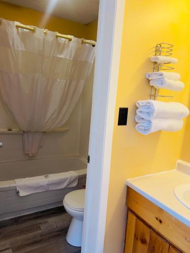 a bathroom with a toilet and a sink at Glenview Cottages in Sault Ste. Marie