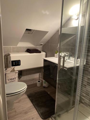 a bathroom with a toilet and a shower and a sink at Le Duplex de l’Avenue in Chalon-sur-Saône
