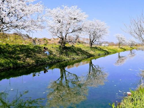 ein Fluss mit akura-Bäumen, der sich im Wasser spiegelt in der Unterkunft 静かに過ごす室内テント Staying quietly indoor tent in Takashima