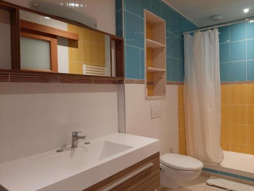 W łazience znajduje się umywalka, toaleta i prysznic. w obiekcie Appartement cosy avec jardin près du port et des plages à Capbreton - FR-1-239-905 w mieście Capbreton