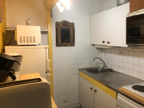 uma pequena cozinha com um lavatório e um frigorífico em Le Bois des Lièvres em Saint-Pierre-de-Chartreuse