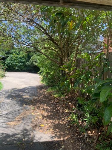 a path with a fence and a tree at Chadstone Holiday K Studio in Chadstone