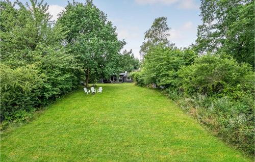a group of three dogs walking in a grass field at Amazing Home In Nykøbing Sj With Wifi in Bøsserup