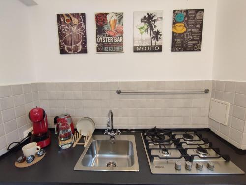 ブカレストにあるHistoric Center Residence 2のキッチン(シンク、コンロ付)