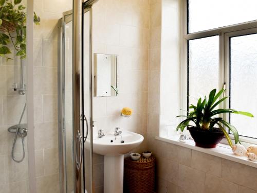 W łazience znajduje się umywalka i prysznic. w obiekcie Ivy Cottage w mieście Newchurch