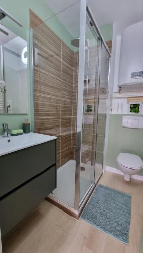 a bathroom with a shower and a sink and a toilet at Chez K&D Studio Nature avec piscine St Raphaël in Saint-Raphaël