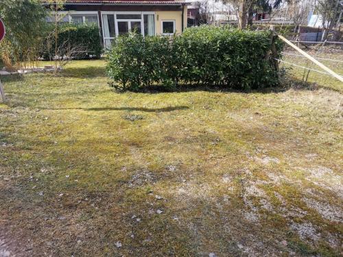 a yard with a grassy yard with a house at Haus zum Talblick in Solnhofen