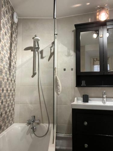 een badkamer met een douche, een bad en een wastafel bij Le Schdorky in Colmar