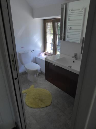 La salle de bains est pourvue de toilettes et d'un tapis jaune. dans l'établissement corps de ferme dans belle propriete avec chiens et chevaux, à Venizy