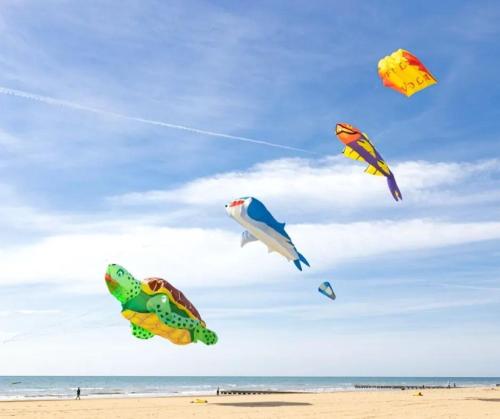 un grupo de cometas volando en el cielo en una playa en Hotel Terramare, en Lido di Jesolo