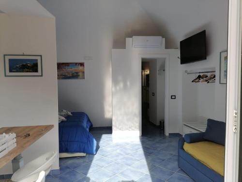 a living room with two blue couches and a tv at Donna Rosalia in Amalfi
