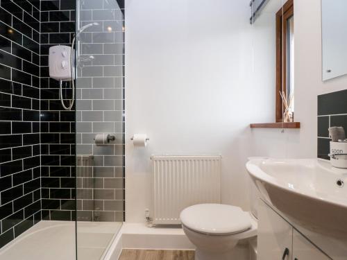 a bathroom with a toilet and a sink and a shower at Bluebell Lodge, Meadow view lodges in Burnham on Sea