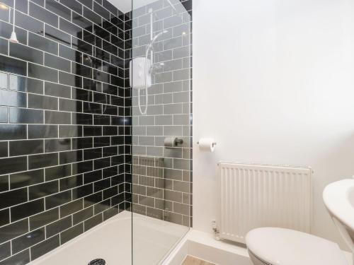 Un baño con ducha, inodoro y lavabo. en Delphine Lodge, Meadow View Lodges, en Burnham-on-Sea