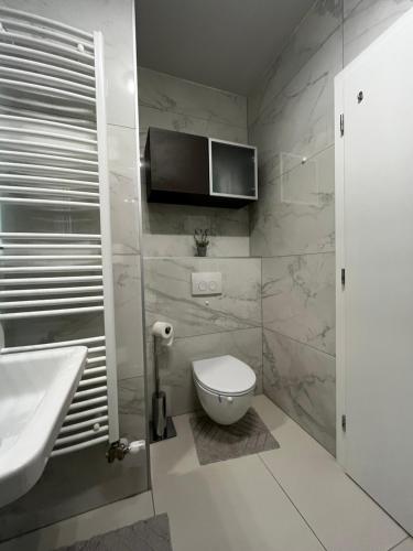 a bathroom with a toilet and a sink at Luxury apartment Anabella in Varaždin