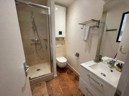 La salle de bains est pourvue d'une douche, de toilettes et d'un lavabo. dans l'établissement Le Studio Maufoux, à Beaune