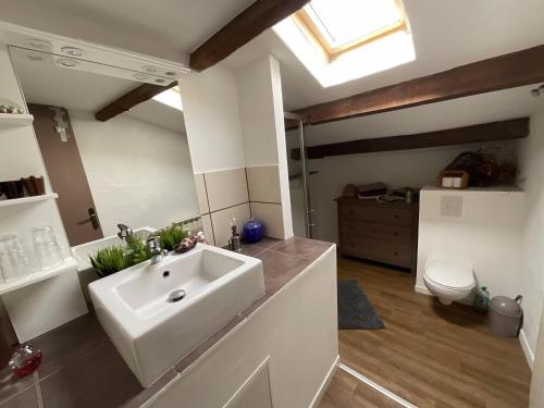 a bathroom with a sink and a toilet at Ombre Bleue Du Figuier, Ailhon in Ailhon