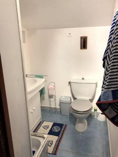 une petite salle de bain avec toilettes et lavabo dans l'établissement La maison d' Anne , nature et convivialité ..., à Albas