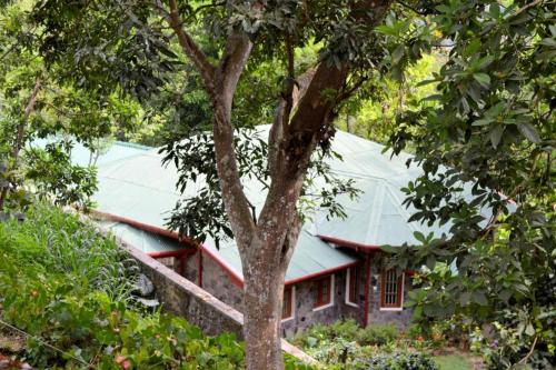 巴杜拉的住宿－Bogaspitiya Bungalow，前面有一棵树的房子