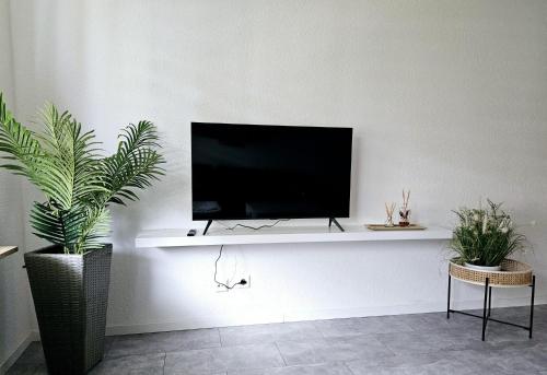 TV de pantalla plana en una pared blanca con 2 plantas en Weinstadt Monteurwohnnung Ferienwohnung, en Weinstadt
