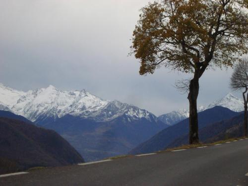 a tree on the side of a road with snow covered mountains at 53Bou in Uglas