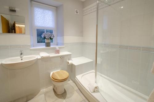 een badkamer met een toilet, een wastafel en een douche bij Skelwith Fold Cottage No.1 in Elterwater
