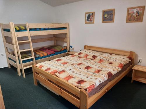 Krevet ili kreveti na kat u jedinici u objektu Ubytování u MVE