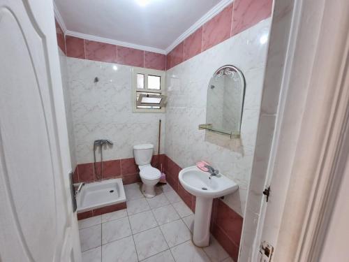 a small bathroom with a sink and a toilet at شيماء كسل in Cairo