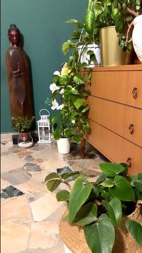 Κήπος έξω από το Serenity B&B