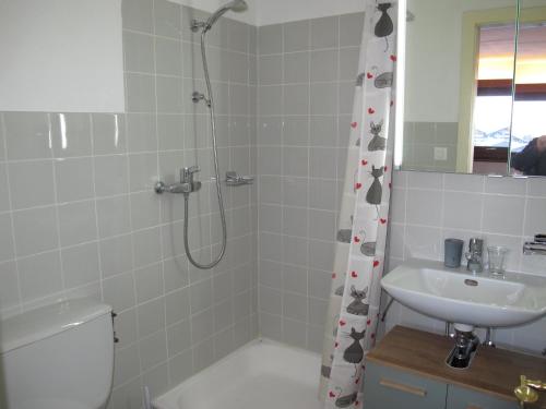 W łazience znajduje się prysznic, toaleta i umywalka. w obiekcie Residenz Rosablanche, GENTIANES SIVI155 w mieście Siviez