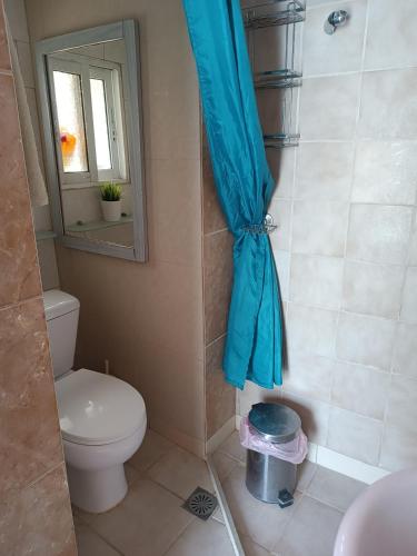 a bathroom with a toilet and a blue shower curtain at Azalea Garden Apartment With Mountain View in Kremasti